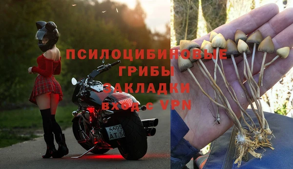 мяу мяу мука Алзамай
