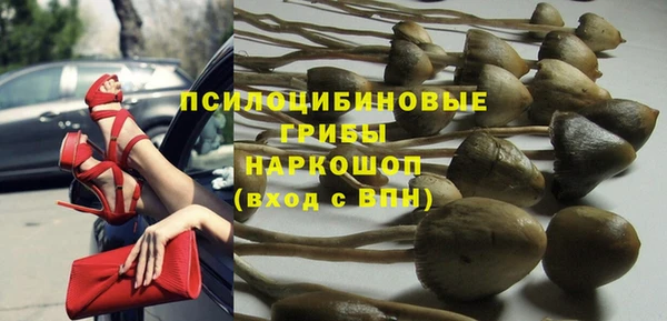 мяу мяу мука Алзамай