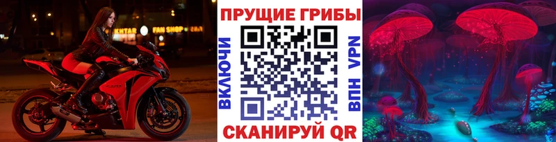 Псилоцибиновые грибы Magic Shrooms  где продают наркотики  Ревда 
